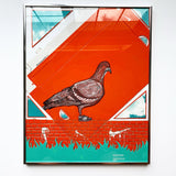 Staple Pigeon