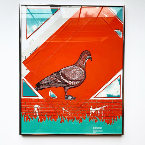 Staple Pigeon