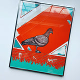 Staple Pigeon